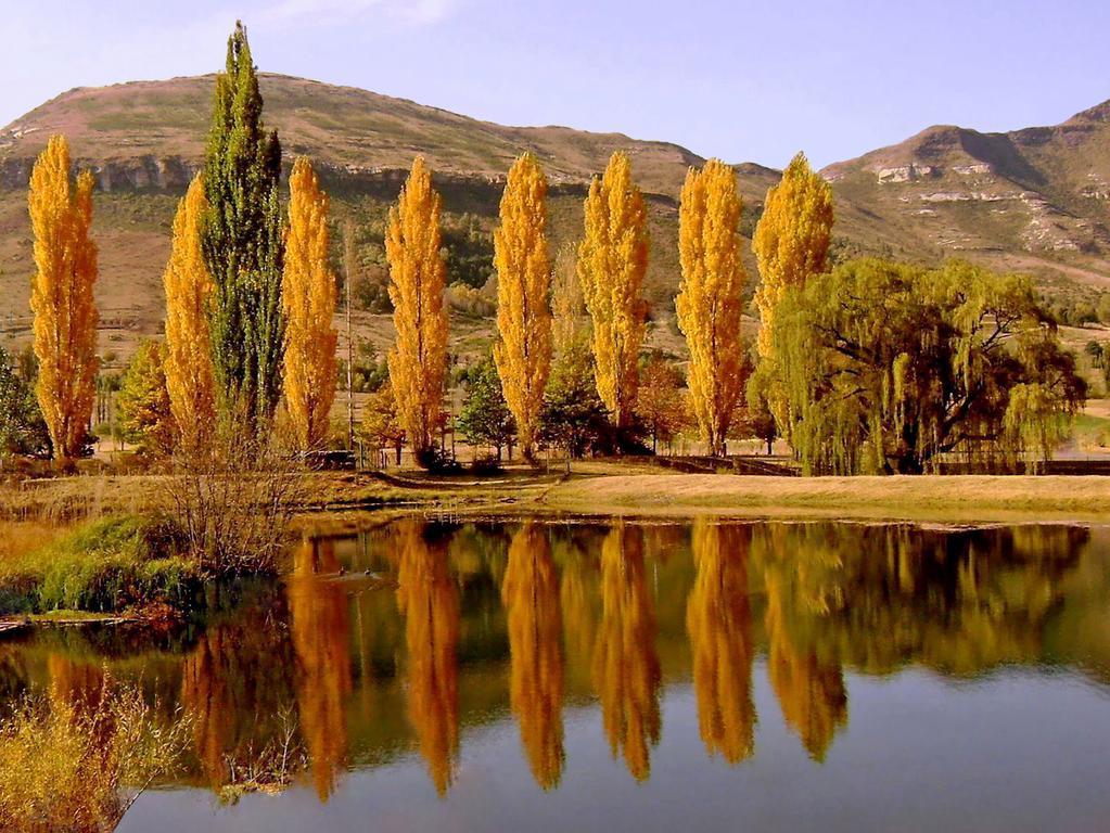Lake Clarens Guest House Room photo
